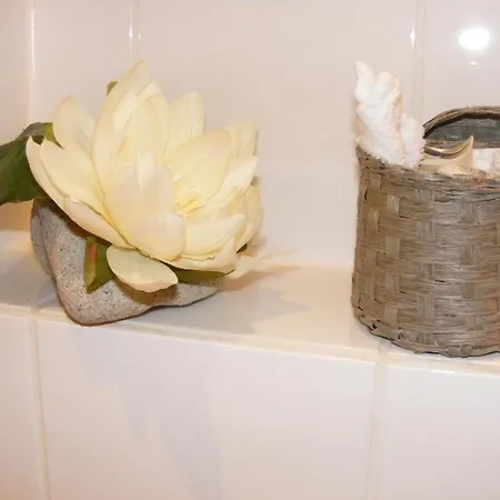 Seehof Leipzig מלון צוונקאו